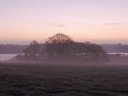 IMGP4248-Det-1-Hald-i-frosttaage